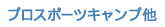 �v���X�|�[�c�L�����v��