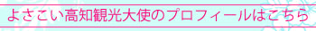 よさこい高知観光大使プロフィール
